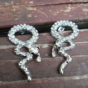 Silver Snake Earrings [Costume Jewelry]
